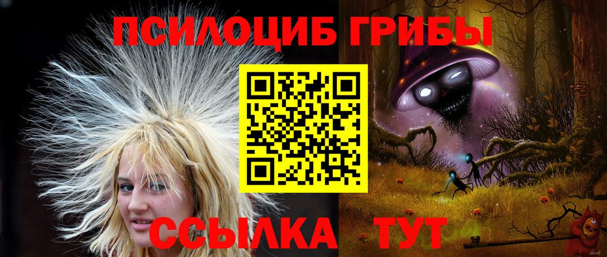 Бугуруслан  Галлюциногенные грибы Cubensis  Вход с VPN 